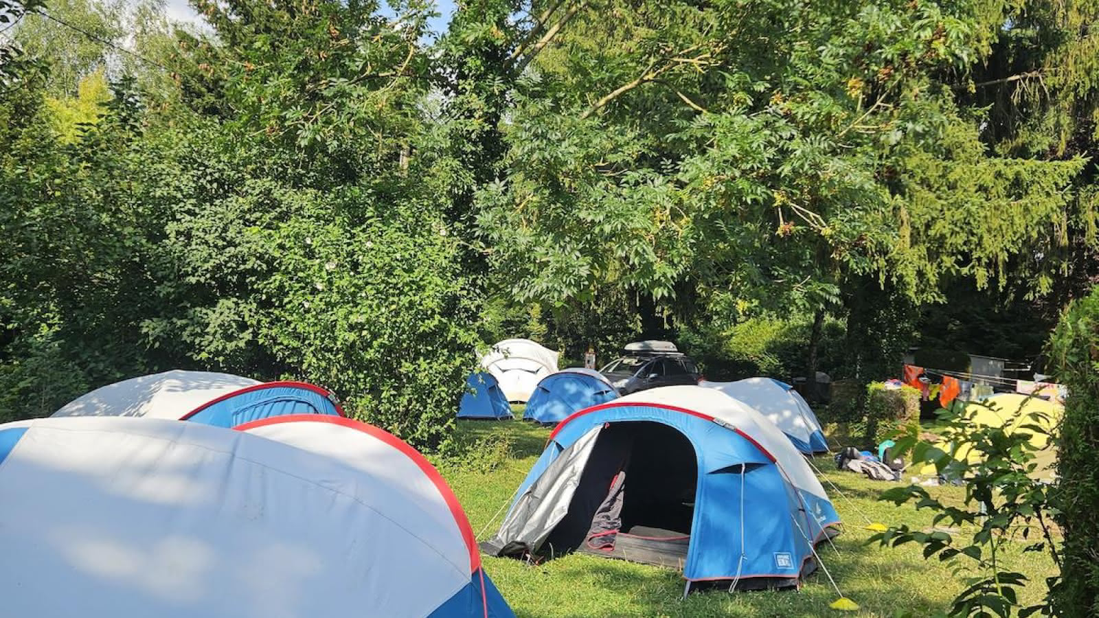 Camping en Alsace bossue : ce que le Pays de Hanau change pour un week-end réussi