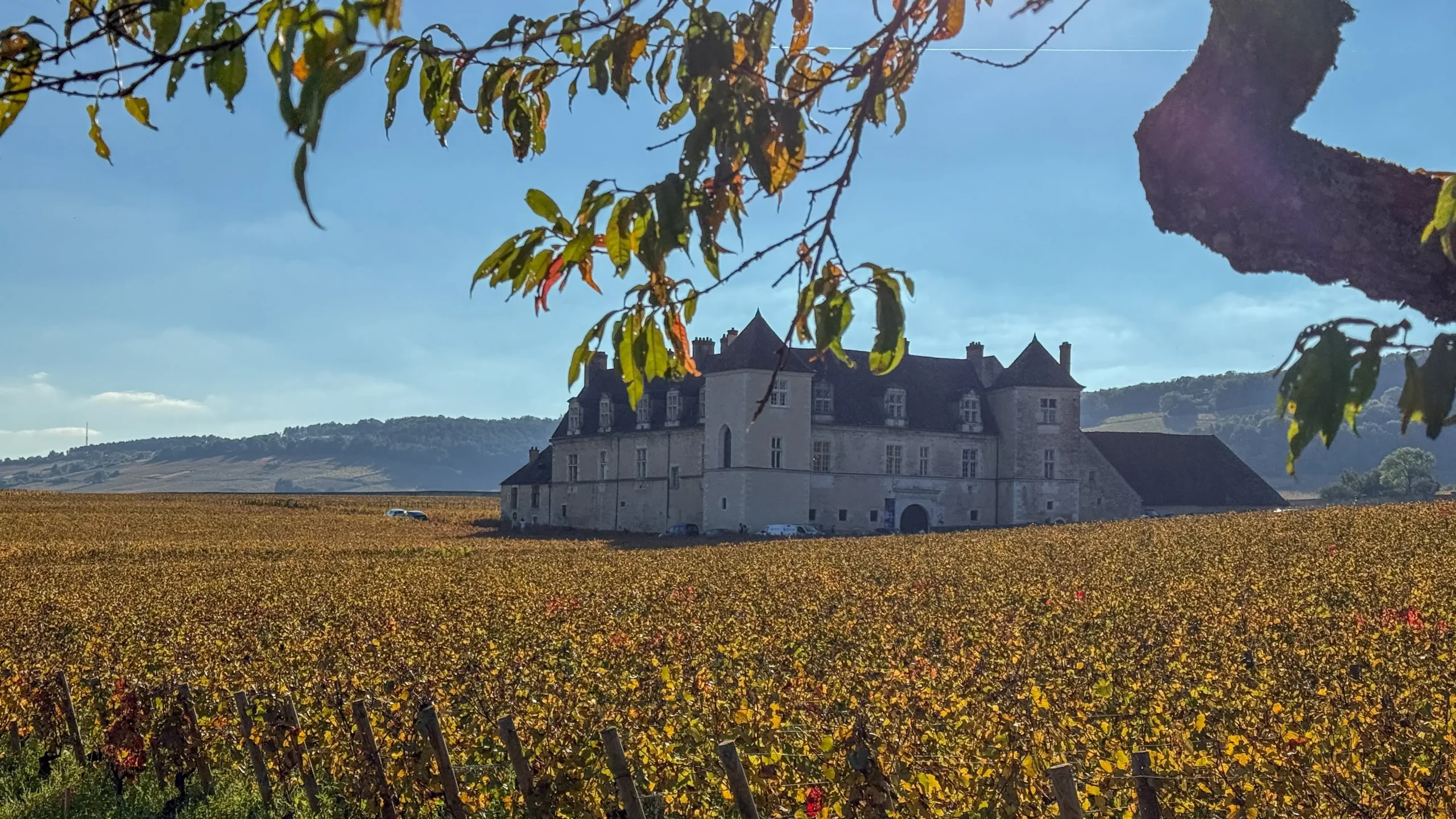 Dormir à Dijon pour rayonner en Bourgogne : ce que j'ai appris en trois week-ends