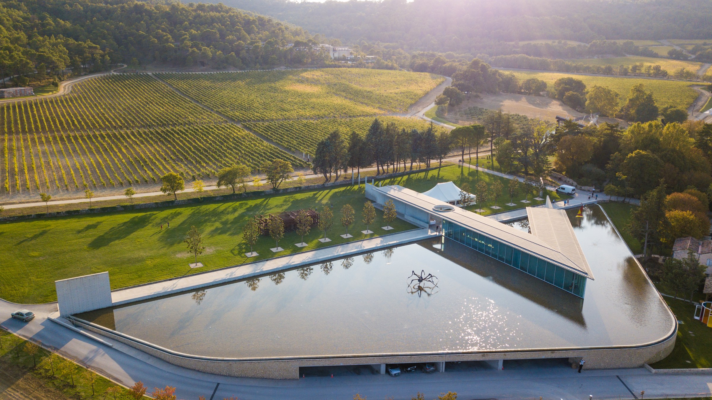 Vignes et architecture contemporaine au Château La Coste en Provence